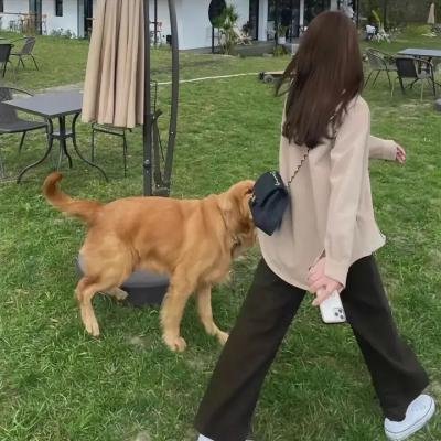 你的请求